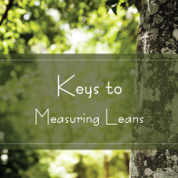 Keys to Measuring Leans Keys to Measuring Leans